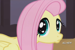 Size: 1056x704 | Tagged: safe, screencap, fluttershy, pegasus, pony, filli vanilli, g4, all new, duckface, female, mare, pouting, solo, text