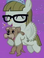 Size: 305x406 | Tagged: safe, screencap, ripley, zippoorwhill, dog, pegasus, pony, filli vanilli, g4, buzzing wings, carrying, circling stars, cropped, cute, derp, dizzy, eyes closed, filly, flapping, flying, foal, glasses, happy, hug, open mouth, puppy, smiling, wings, zippoorbetes
