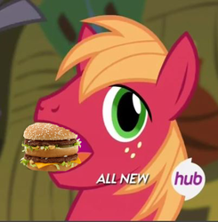 Size: 402x411 | Tagged: safe, big macintosh, earth pony, pony, filli vanilli, g4, my little pony: friendship is magic, big mac (burger), big mac's big mouth, exploitable meme, food, hub logo, male, mcdonald's, meat, meme, name pun, ponies eating meat, pun, solo, stallion, visual pun