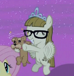 Size: 328x340 | Tagged: safe, screencap, fluttershy, ripley, zippoorwhill, dog, pegasus, pony, filli vanilli, g4, animated, buzzing wings, circling stars, cute, derp, dizzy, female, filly, foal, glasses, puppy, wings, zippoorbetes
