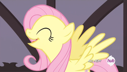 Size: 1440x810 | Tagged: safe, screencap, fluttershy, filli vanilli, g4, my little pony: friendship is magic, female, hub logo, solo