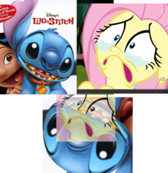 Size: 683x704 | Tagged: safe, fluttershy, filli vanilli, g4, lilo and stitch, stitch, wat