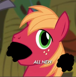 Size: 402x411 | Tagged: safe, big macintosh, earth pony, pony, filli vanilli, g4, my little pony: friendship is magic, big mac's big mouth, exploitable meme, male, meme, solo, stallion, wat