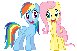 Size: 1000x671 | Tagged: safe, fluttershy, rainbow dash, g4, may the best pet win, animated, faic, female, looking at you, run, this will end in death