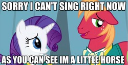 Size: 960x488 | Tagged: safe, edit, edited screencap, screencap, big macintosh, rarity, earth pony, pony, filli vanilli, g4, caption, image macro, male, meme, pun, stallion