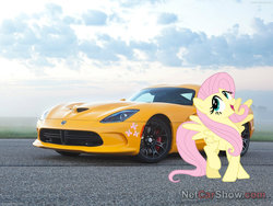 Size: 1600x1200 | Tagged: safe, fluttershy, g4, car, dodge (car), dodge viper, female, ponies with cars, solo