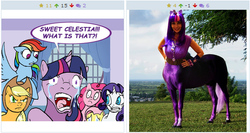 Size: 511x272 | Tagged: safe, artist:razmere, applejack, fluttershy, pinkie pie, rainbow dash, rarity, twilight sparkle, centaur, derpibooru, g4, centaur twilight, cosplay, exploitable meme, juxtaposition, juxtaposition win, meme, meta