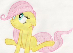 Size: 2362x1702 | Tagged: safe, artist:muffin mane, fluttershy, g4, the cutie mark chronicles, blank flank, cute, female, filly, filly fluttershy, floppy ears, foal, hnnng, lanky, no neck, shyabetes, skinny, solo, thin, traditional art