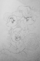 Size: 640x960 | Tagged: safe, artist:ilikepudding24, applejack, rarity, trenderhoof, pony, g4, simple ways, applejewel, heart, monochrome, rarihick, rose, sketch, traditional art, trio