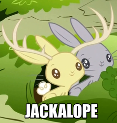 Size: 657x691 | Tagged: safe, screencap, jackalope, rabbit, filli vanilli, g4, animal, burrow, carrot, duo, image macro, meme