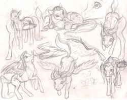 Size: 2769x2177 | Tagged: safe, artist:queensmate, fluttershy, rabbit, g4, female, monochrome, solo, traditional art