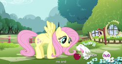 Size: 1151x609 | Tagged: safe, screencap, angel bunny, discord, fluttershy, g4, all new, hub logo, intro, logo, looking out the window, meme, text, the hub, theme song, window, youtube caption