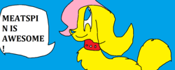 Size: 1285x519 | Tagged: safe, fluttershy, dog, g4, ambiguous gender, collar, meatspin, ms paint, solo, species swap