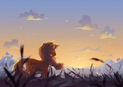 Size: 3508x2480 | Tagged: safe, artist:cmaggot, applejack, earth pony, pony, g4, back, backlighting, cloud, cloudy, female, grass, mare, rear view, scenery, sky, solo, sunrise, windswept mane