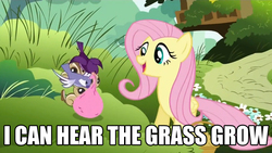 Size: 800x450 | Tagged: safe, edit, edited screencap, screencap, fluttershy, filli vanilli, g4, caption, image macro, lyrics, meme, the move