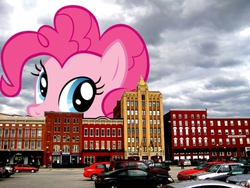 Size: 585x439 | Tagged: safe, pinkie pie, earth pony, pony, g4, cute, diapinkes, giant pony, highrise ponies, irl, photo, ponies in real life, soon, united states, vermont