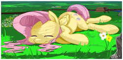 Size: 1352x664 | Tagged: safe, artist:shnider, fluttershy, pegasus, pony, g4, :t, cute, eyes closed, female, field, flower, grass, horses doing horse things, on side, outdoors, shyabetes, sleeping, solo