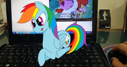 Size: 1084x575 | Tagged: safe, artist:hyolark, dinky hooves, pinkie pie, rainbow dash, scootaloo, pegasus, pony, g4, animal costume, chicken pie, chicken suit, clothes, computer, costume, irl, korean, laptop computer, microsoft windows, nightmare night, photo, ponies in real life, windows 7