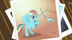 Size: 1280x720 | Tagged: safe, screencap, rainbow dash, bird, hummingbird, pegasus, pony, g4, may the best pet win, epee, female, fencing, hilarious in hindsight, mare, mouth hold, photo