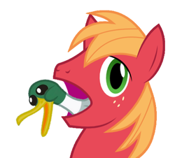 Size: 544x492 | Tagged: safe, big macintosh, duck, earth pony, pony, g4, big mac's big mouth, exploitable meme, male, meme, stallion