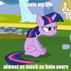 Size: 740x740 | Tagged: safe, twilight sparkle, g4, caption, female, grumpy, meme, solo