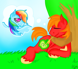 Size: 900x800 | Tagged: safe, artist:tomcolt15, big macintosh, rainbow dash, earth pony, pony, g4, daydream, male, ship:rainbowmac, stallion, straight, thought bubble