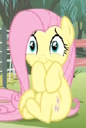 Size: 206x306 | Tagged: safe, screencap, fluttershy, pegasus, pony, filli vanilli, g4, season 4, animated, cowering, curled up, cute, female, frown, gif, loop, mare, scared, scared to death, shivering, shyabetes, sitting, solo, sweet dreams fuel, terrified, traumatized, trembling
