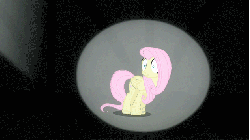 Size: 633x355 | Tagged: safe, screencap, fluttershy, filli vanilli, g4, animated, cowering, fear, female, floating head, nightmare fuel, panic attack, scared, spotlight, stage fright