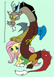 Size: 587x840 | Tagged: safe, artist:pasikon, discord, fluttershy, g4, female, male, pixiv, ship:discoshy, shipping, size difference, straight