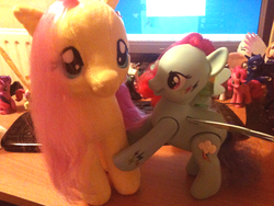 Size: 500x375 | Tagged: safe, fluttershy, rainbow dash, g4, build-a-bear, colored wings, fat angry rainbow dash, flip n whirl rainbow dash, irl, multicolored wings, photo, plushie, rainbow power, rainbow wings, toy