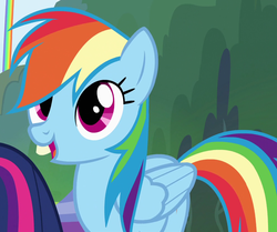 Size: 992x828 | Tagged: safe, screencap, rainbow dash, twilight sparkle, alicorn, pegasus, pony, g4, rainbow falls, bucktooth, female, mare, solo focus, twilight sparkle (alicorn)