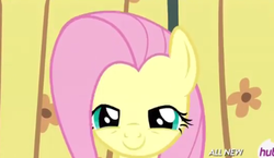 Size: 397x230 | Tagged: safe, screencap, fluttershy, filli vanilli, g4, cute, female, hub logo, lidded eyes, solo