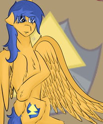 Size: 1000x1200 | Tagged: safe, artist:silvermistmlp, flash sentry, g4, backwards cutie mark, flare warden, rule 63, solo