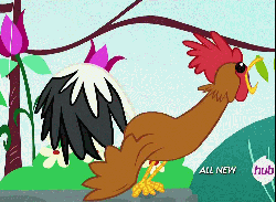 Size: 982x720 | Tagged: safe, edit, edited screencap, screencap, filli vanilli, g4, animal, animated, crowing, hub logo, loop, open mouth, rooster, solo, spread wings