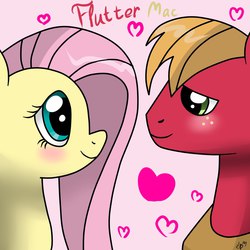 Size: 2000x2000 | Tagged: artist needed, source needed, safe, big macintosh, fluttershy, earth pony, pony, g4, blushing, heart, male, ship:fluttermac, shipping, stallion, straight