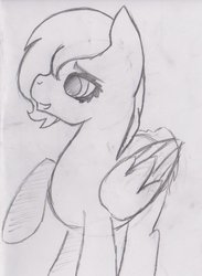 Size: 764x1045 | Tagged: safe, artist:spellchecks, oc, oc only, pegasus, pony, monochrome, solo, traditional art