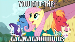 Size: 888x498 | Tagged: safe, screencap, big macintosh, fluttershy, rarity, toe-tapper, torch song, earth pony, pony, filli vanilli, g4, aids, family guy, hiv, hub logo, image macro, male, meme, ponytones, song in the comments, stallion