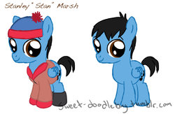 Size: 900x585 | Tagged: safe, artist:icylnuyoukai, earth pony, pony, colt, male, ponified, south park, stan marsh