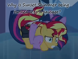 Size: 579x443 | Tagged: safe, sunset shimmer, twilight sparkle, pony, unicorn, equestria girls, g4, insane pony thread, sausage