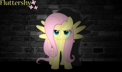 Size: 1280x752 | Tagged: safe, artist:boh238, fluttershy, g4, cutie mark, female, solo