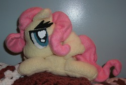 Size: 2000x1342 | Tagged: safe, artist:darkzephyrmoon, fluttershy, g4, beanie (plushie), irl, photo, plushie