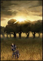 Size: 1000x1412 | Tagged: safe, artist:cosmicunicorn, zecora, zebra, g4, female, grass, looking at you, mare, savanna, scenery, sky, solo, sun, sunset