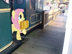 Size: 2592x1944 | Tagged: safe, artist:bobthelurker, artist:techrainbow, artist:tokkazutara1164, fluttershy, human, g4, irl, luggage, mouth hold, photo, ponies in real life, solo, train, train station, vector