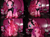 Size: 384x287 | Tagged: safe, pinkie pie, g4, clothes, goth, goth fashion, gothic pinkie, irl, photo, pinkie pie's boutique, target exclusive, toy