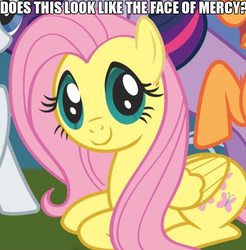 Size: 670x682 | Tagged: safe, fluttershy, g4, official, face of mercy, image macro, impact font, meme