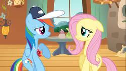 Size: 1366x768 | Tagged: safe, screencap, fluttershy, rainbow dash, g4, hurricane fluttershy, baseball cap, cap, coach rainbow dash, duo, floppy ears, fluttershy's cottage, hat, looking at each other, sad face, whistle, whistle necklace