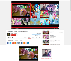 Size: 1280x1105 | Tagged: safe, screencap, applejack, dj pon-3, pinkie pie, princess cadance, rainbow dash, rarity, shining armor, twilight sparkle, vinyl scratch, g4, meta, my face when, why, youtube