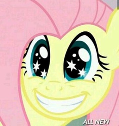 Size: 320x341 | Tagged: safe, screencap, fluttershy, filli vanilli, g4, faic, female, flutterguy, grin, mare, solo