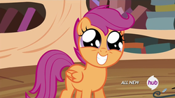 Size: 1920x1080 | Tagged: safe, screencap, scootaloo, g4, twilight time, hub logo, squee