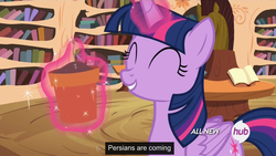 Size: 1440x810 | Tagged: safe, screencap, twilight sparkle, alicorn, persian, pony, g4, twilight time, all new, female, flower pot, hub logo, mare, meme, persia, solo, text, twilight sparkle (alicorn), youtube caption